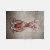 Tekening Sphynx kitten Fleece Deken (Voorkant (Horizontaal))