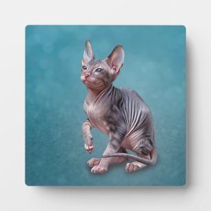 Tekening Sphynx kitten Fotoplaat