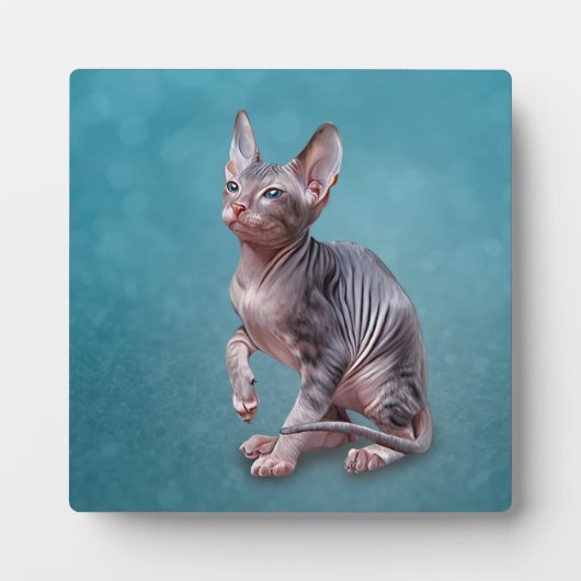 Tekening Sphynx kitten Fotoplaat (Voorkant)