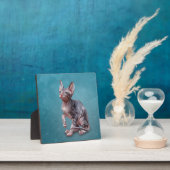 Tekening Sphynx kitten Fotoplaat (Insitu)