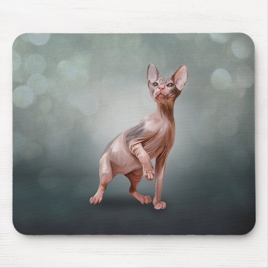 Tekening Sphynx kitten Muismat (Voorkant)