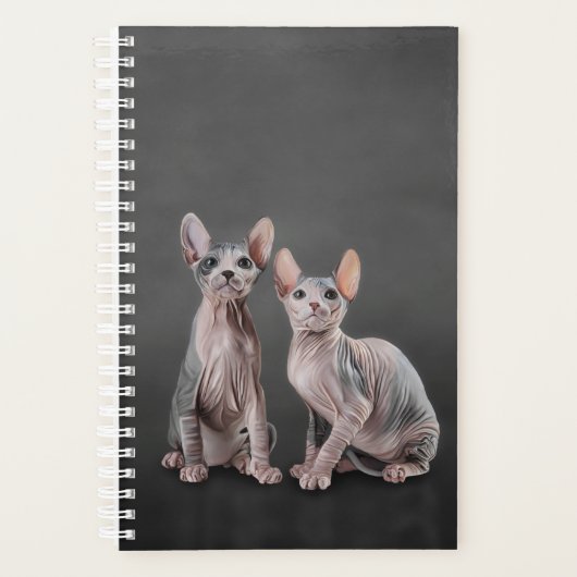 Tekening Sphynx kitten Planner (Voorkant)