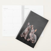 Tekening Sphynx kitten Planner (Display)