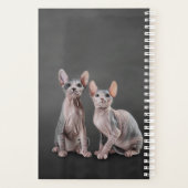 Tekening Sphynx kitten Planner (Achterkant)