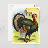  tekening: Turkije Briefkaart (Voorkant / Achterkant)