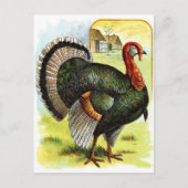  tekening: Turkije Briefkaart (Voorkant)