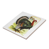  tekening: Turkije Tegeltje (Zijkant)