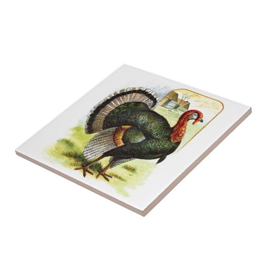  tekening: Turkije Tegeltje (Zijkant)