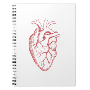 Tekening van anatomie van het menselijk hart notitieboek