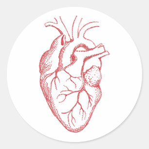 Tekening van anatomie van het menselijk hart ronde sticker