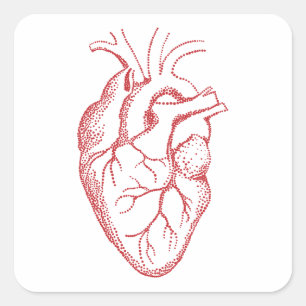 Tekening van anatomie van het menselijk hart vierkante sticker
