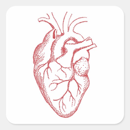 Tekening van anatomie van het menselijk hart vierkante sticker (Voorkant)