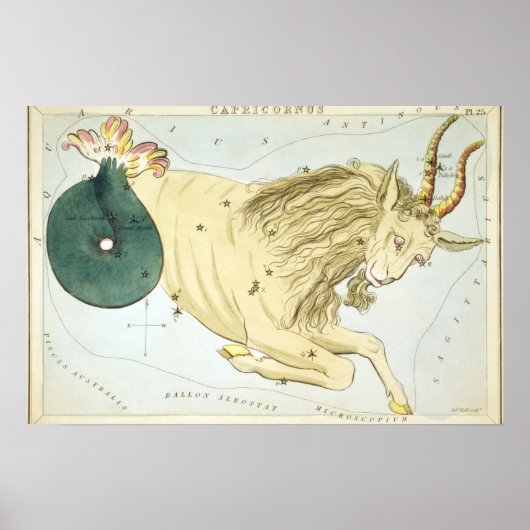 Tekening van astrologische Steenbok Poster (Voorkant)