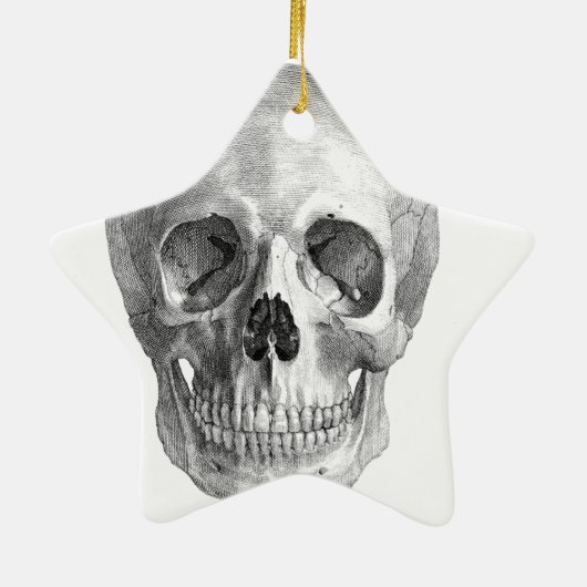 Tekening van de anatomische schets van de menselij keramisch ornament (Achterkant)