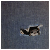 Tekening van de cilindervormige eekhoorn stof (Close Up)