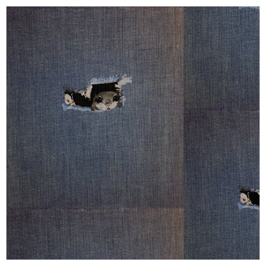 Tekening van de cilindervormige eekhoorn stof (Swatch)