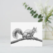 Tekening van de eekhoorn briefkaart (Staand voorkant)