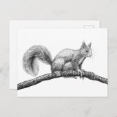 Tekening van de eekhoorn briefkaart (Voorkant / Achterkant)