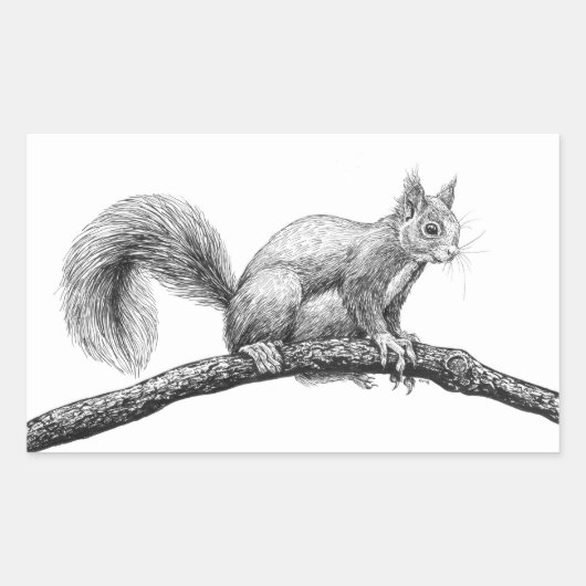 Tekening van de eekhoorn rechthoekige sticker (Voorkant)