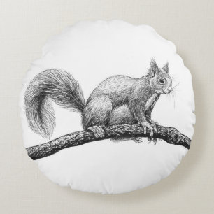 Tekening van de eekhoorn rond kussen