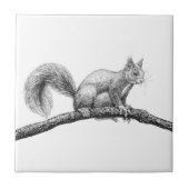 Tekening van de eekhoorn tegeltje (Voorkant)