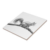Tekening van de eekhoorn tegeltje (Zijkant)