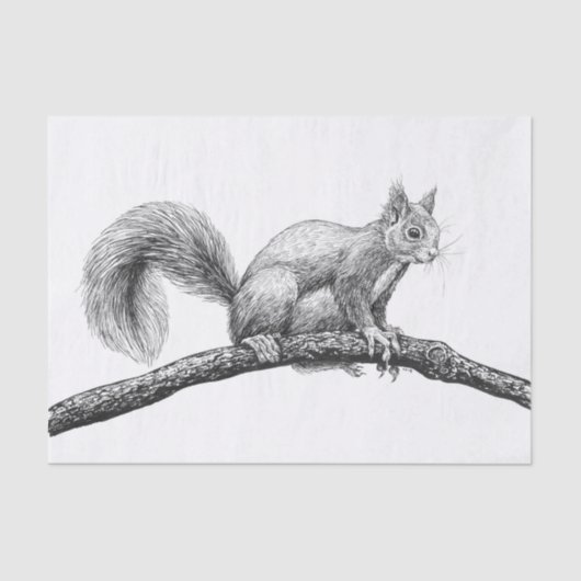 Tekening van de eekhoorn tissuepapier (Voorkant)