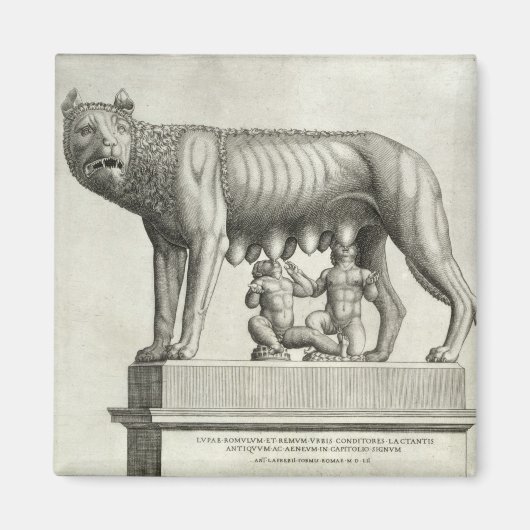 Tekening van de Etruscan bronze van de she-wolf Magneet (Voorkant)