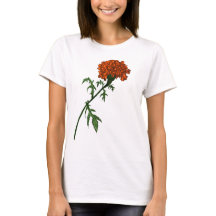 Tekening van de Franse groene ventilatorinkt