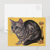 Tekening van de kat met distilleermiddelen op het briefkaart (Voorkant / Achterkant)