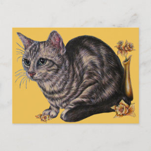 Tekening van de kat met distilleermiddelen op het briefkaart