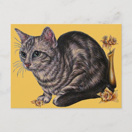 Tekening van de kat met distilleermiddelen op het briefkaart (Voorkant)