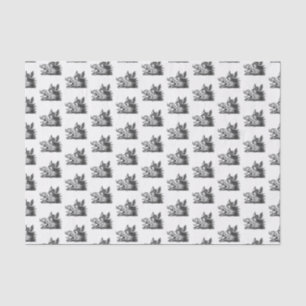  tekening van de trekbaan van de Wilde Boer Tissuepapier