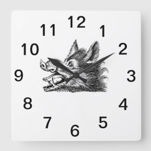  tekening van de trekbaan van de Wilde Boer Vierkante Klok