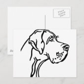Tekening van een Deense Dog kop Briefkaart (Voorkant / Achterkant)