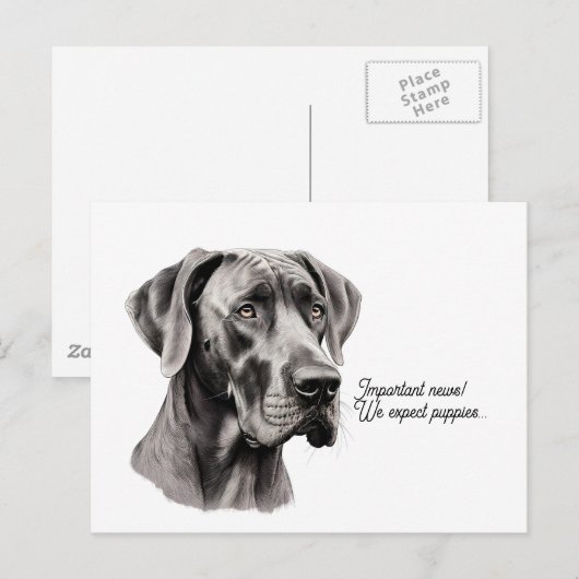 Tekening van een Deense Dog kop Briefkaart (Voorkant / Achterkant)