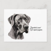 Tekening van een Deense Dog kop Briefkaart (Voorkant)