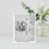  tekening van een foetus in de baarmoeder 1 briefkaart (Staand voorkant)