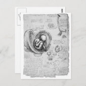  tekening van een foetus in de baarmoeder 1 briefkaart (Voorkant / Achterkant)