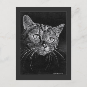 Tekening van een kattengezicht door Mark Edward We Briefkaart