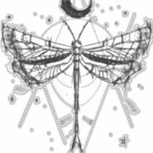 Tekening van een libel in maanlicht Boho stijl Sticker (Voorkant)