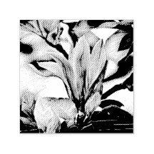 Tekening van een magnoliebloementak