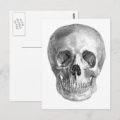 Tekening van een menselijke schedel aan de voorzij briefkaart (Voorkant / Achterkant)
