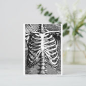  tekening van een ribbenkast briefkaart (Staand voorkant)