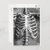  tekening van een ribbenkast briefkaart (Voorkant / Achterkant)