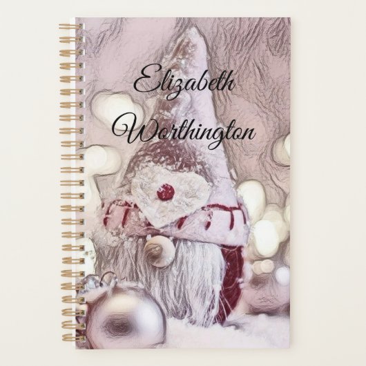  tekening van een roze gnoom op sneeuw planner (Voorkant)