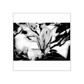 Tekening van een tak van magnolia flower rubberstempel (Afrduk)