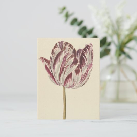  tekening van een witte en rode lip briefkaart (Staand voorkant)