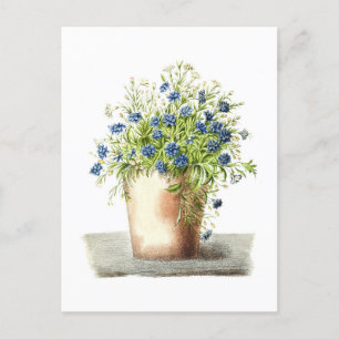 tekening van Garden Lobelia Briefkaart