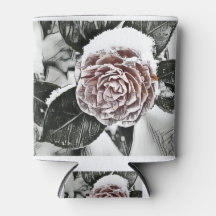 Tekening van gezaaid Roos, bevroren